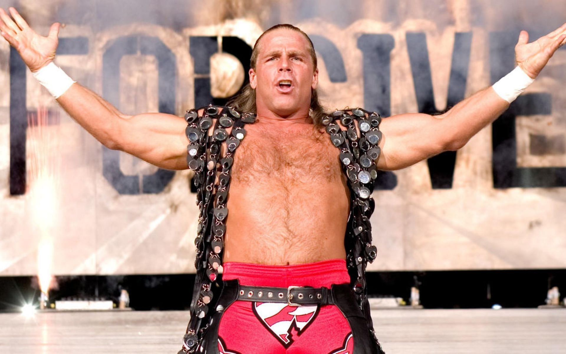 Shawn Michaels is a former WWE Champion!