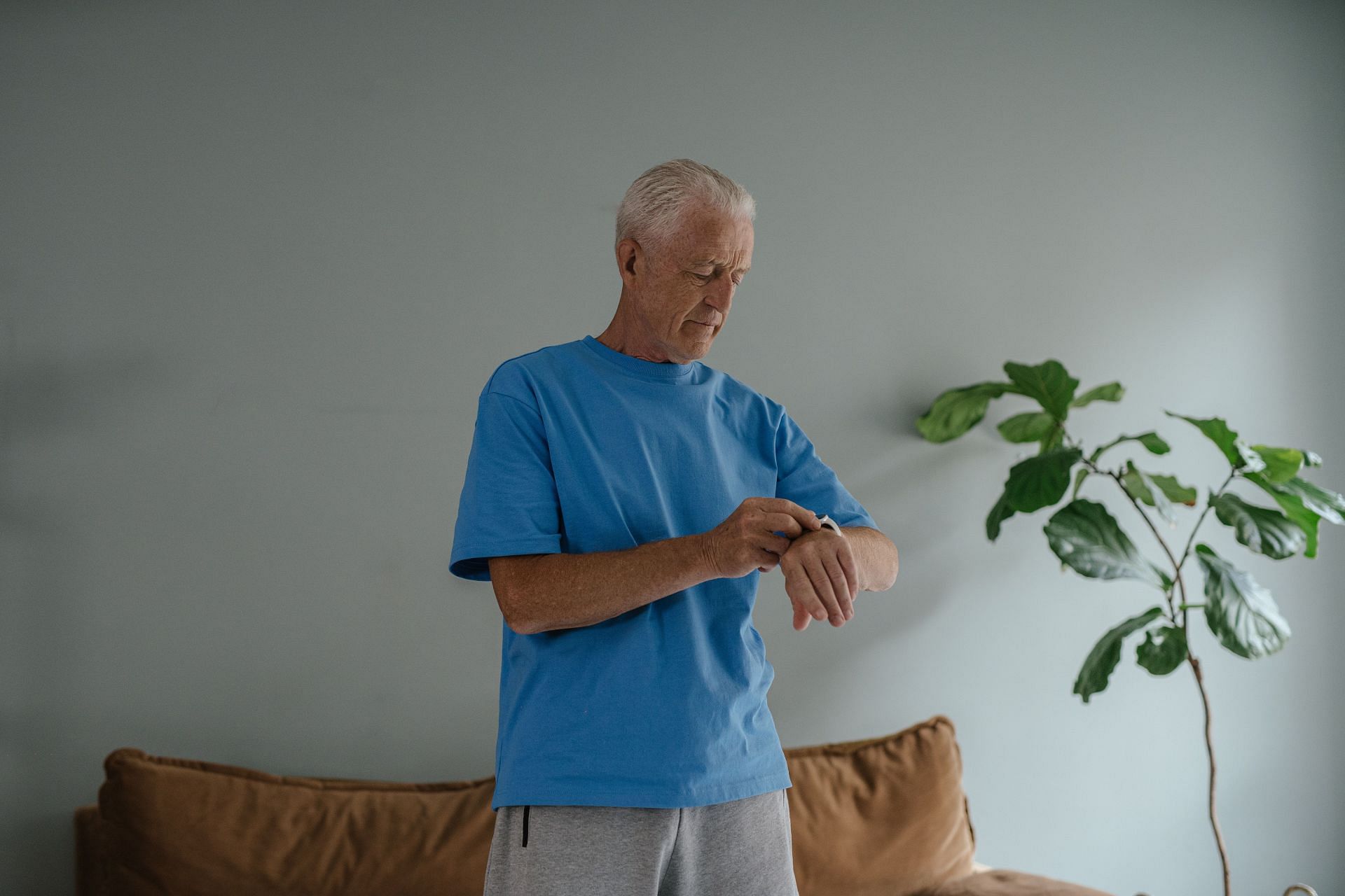 Eating smaller and on-time meals enhances executive functions in older adults. (Image via Pexels/ Shvets Production)