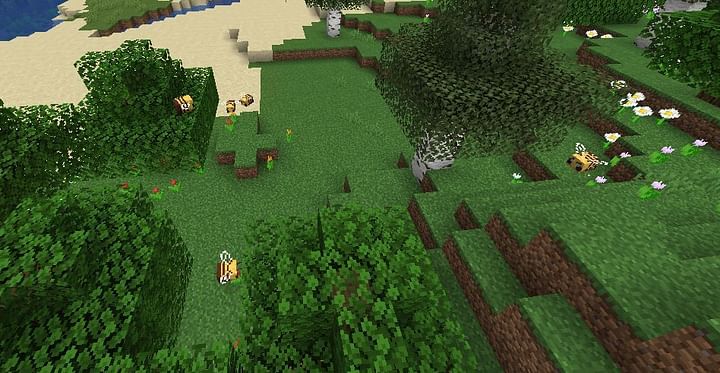 Flower Forest in Minecraft