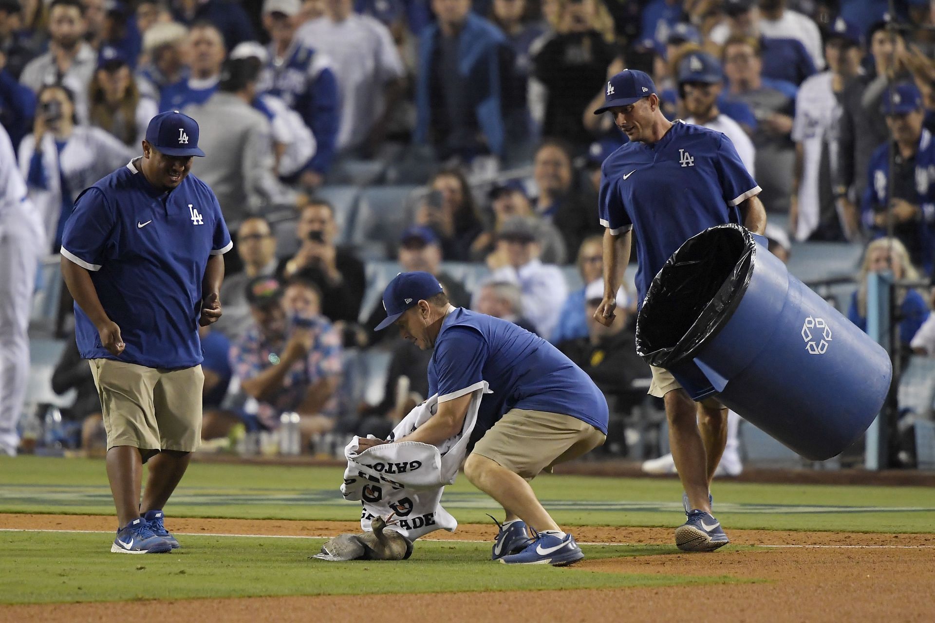 Goose on loose causes delay at Padres-Dodgers playoff game