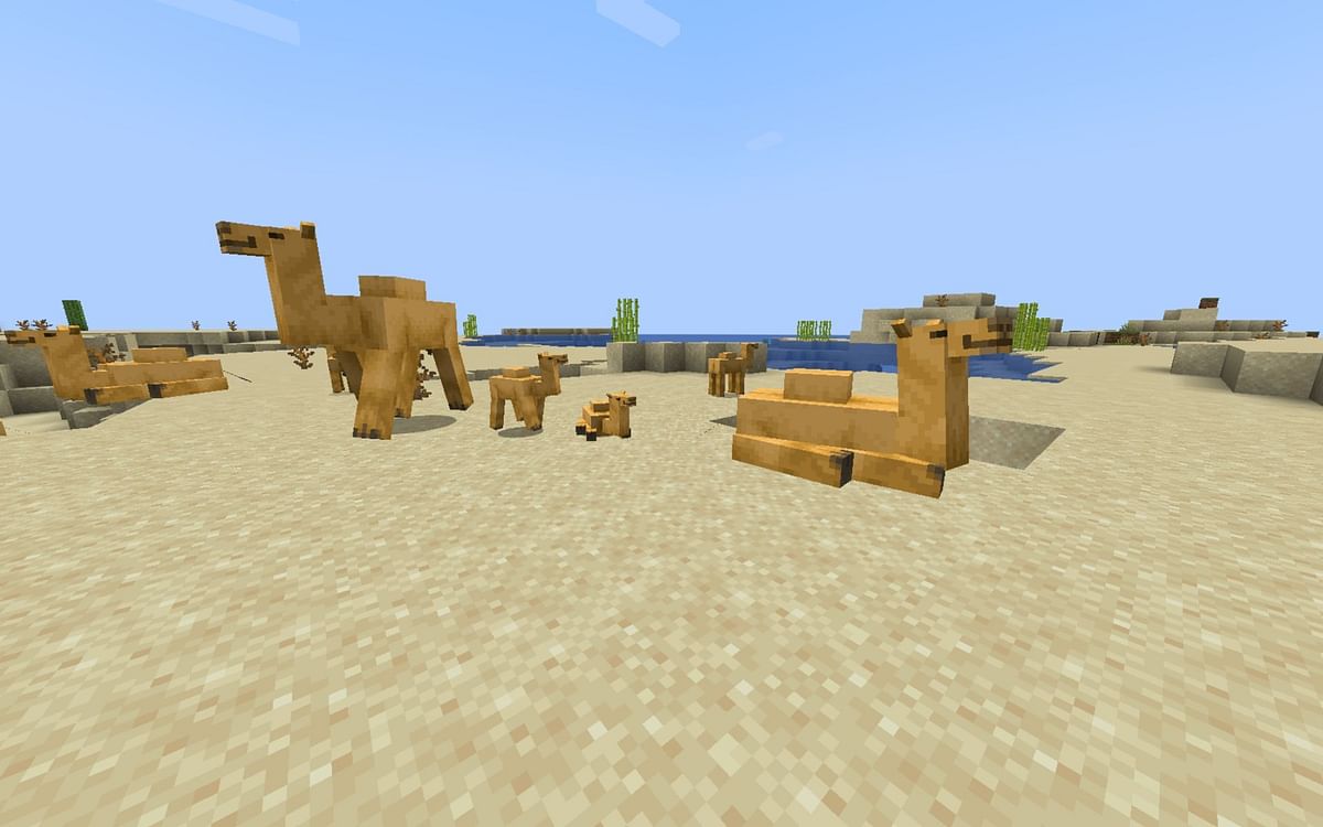 Camel in Minecraft 1.20 update: What we know so far