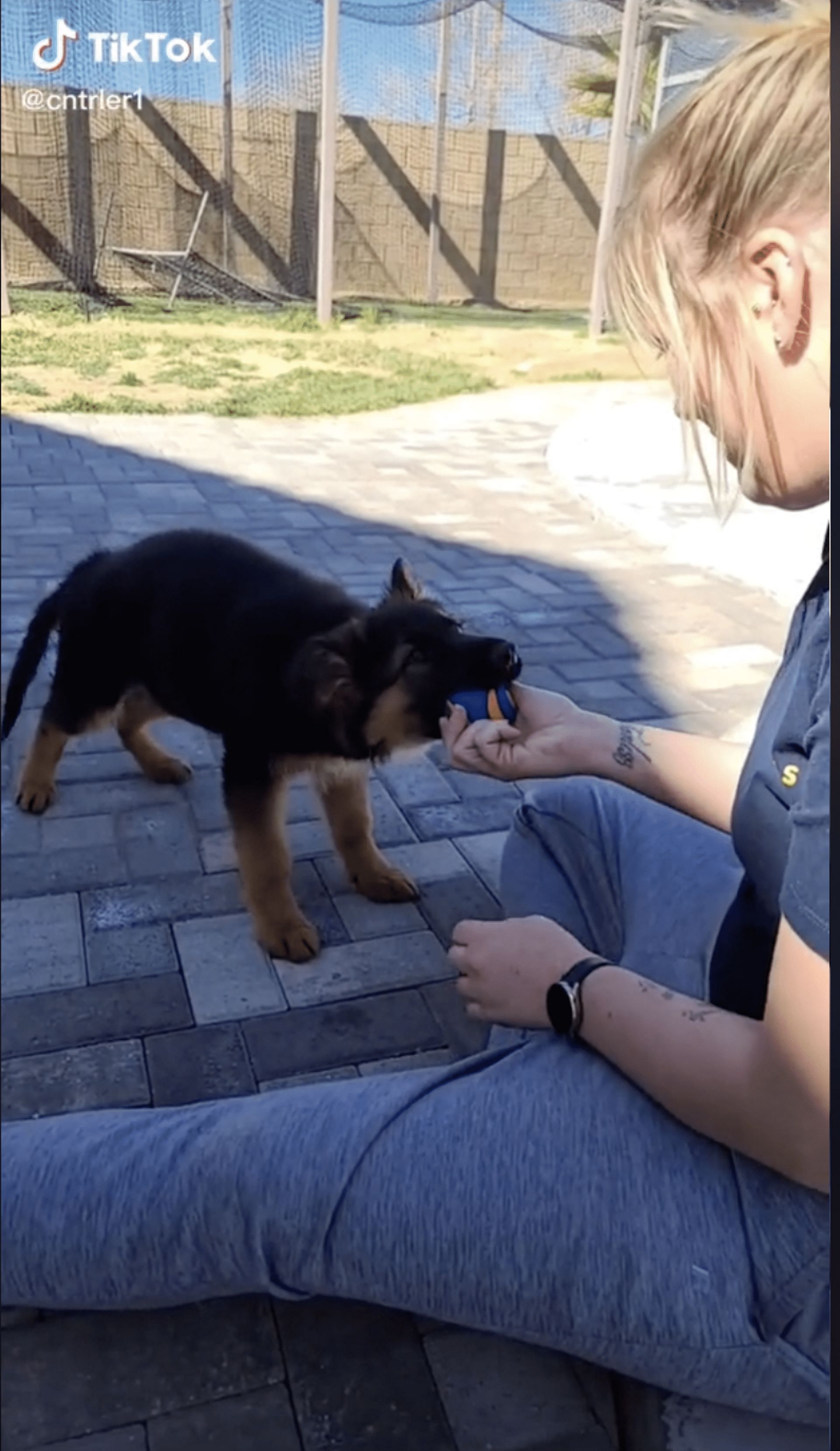 A TikToker participated in the Bop It Twist It Pull It challenge with her pet (Image via TikTok)