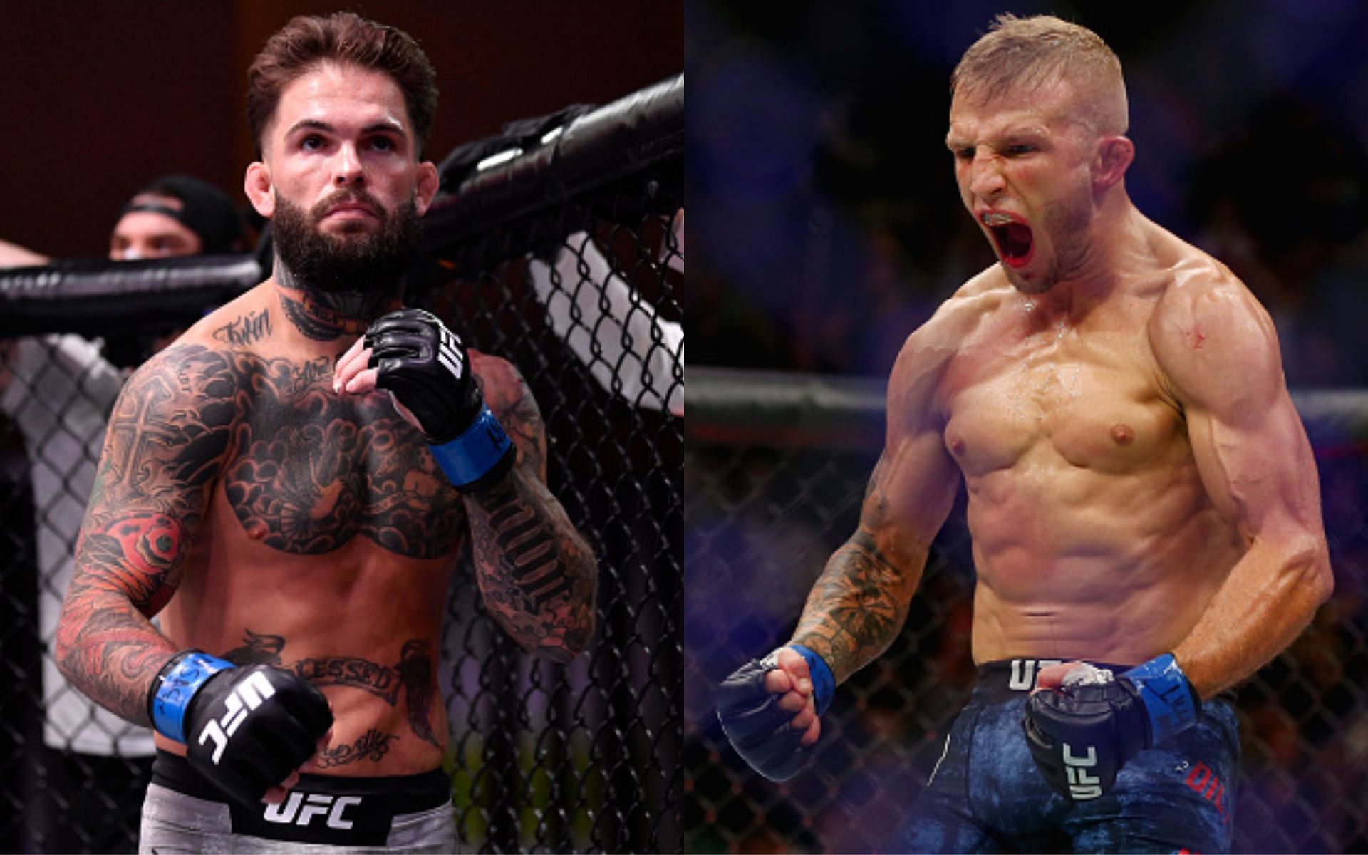 Cody Garbrandt (left) and T.J. Dillashaw (right)(Images via Getty)