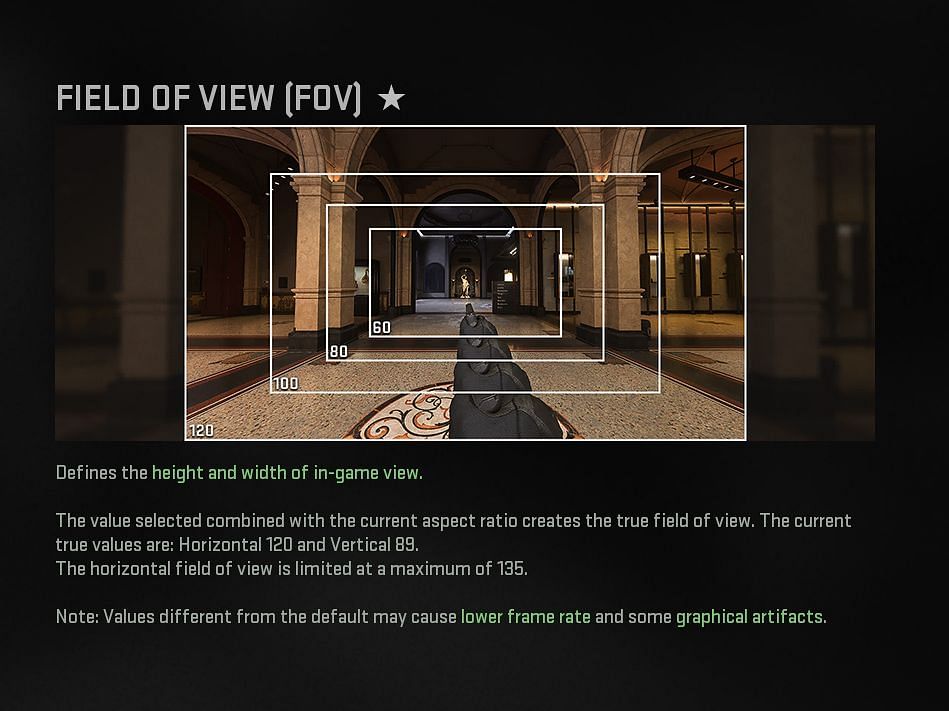 FOV explanation in MW2 (image via Activision)