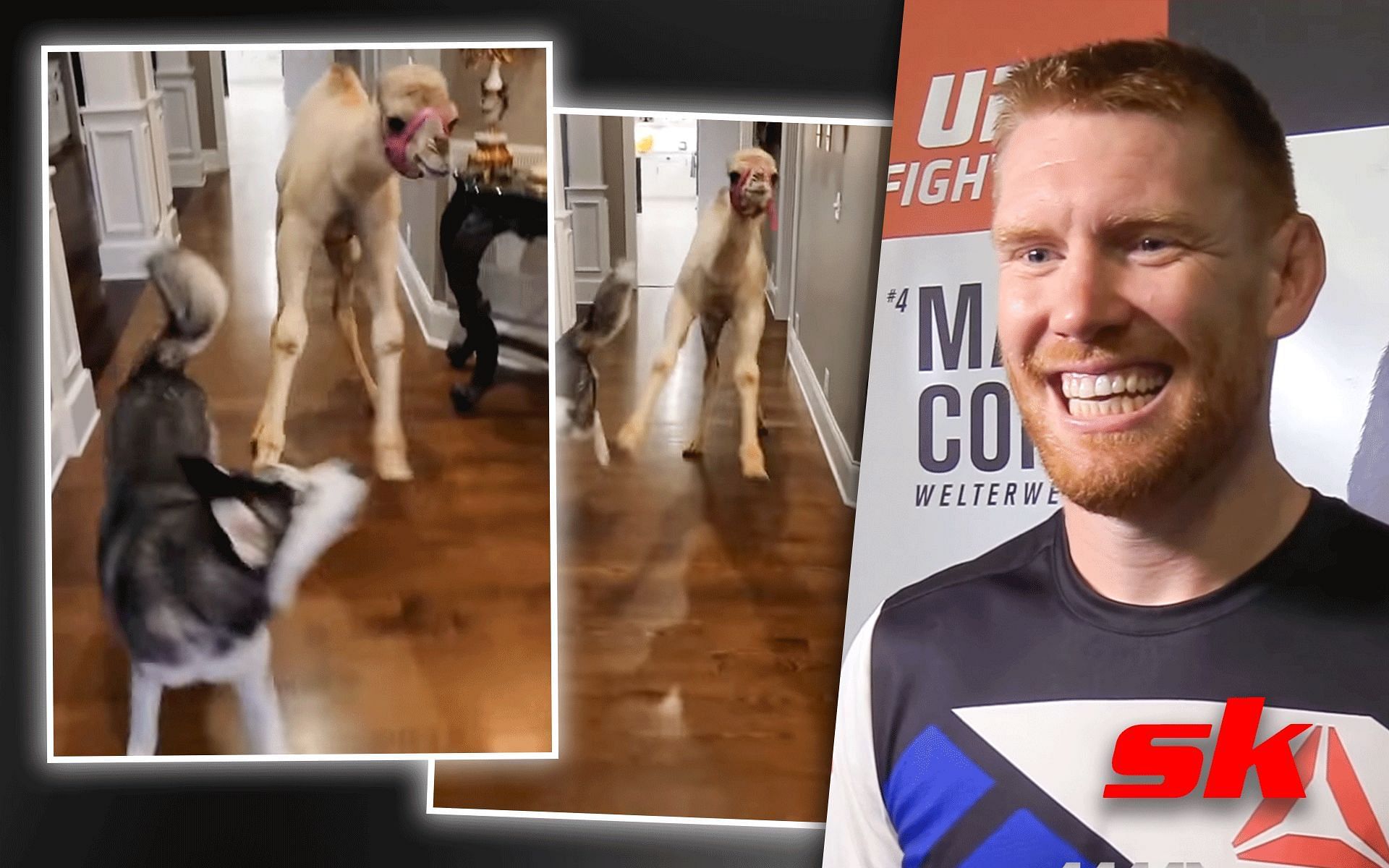 VIDEO: Adorable video of UFC middleweight Sam Alvey getting greeted by his pet camel  [Images via: Alvey from  MMAFightingonSBN | YouTube, rest from @smilensam on Instagram]