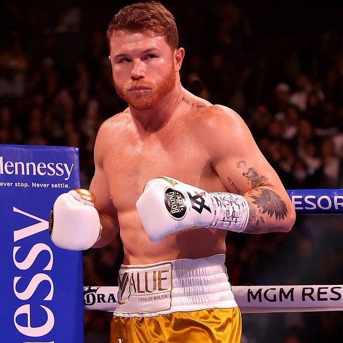 Is Boxing Superstar Canelo Alvarez In Creed 3?