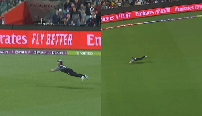 T20 World Cup 2022: [Watch] Glenn Philips' superman effort to dismiss Marcus Stoinis in Super 12 clash against Australia