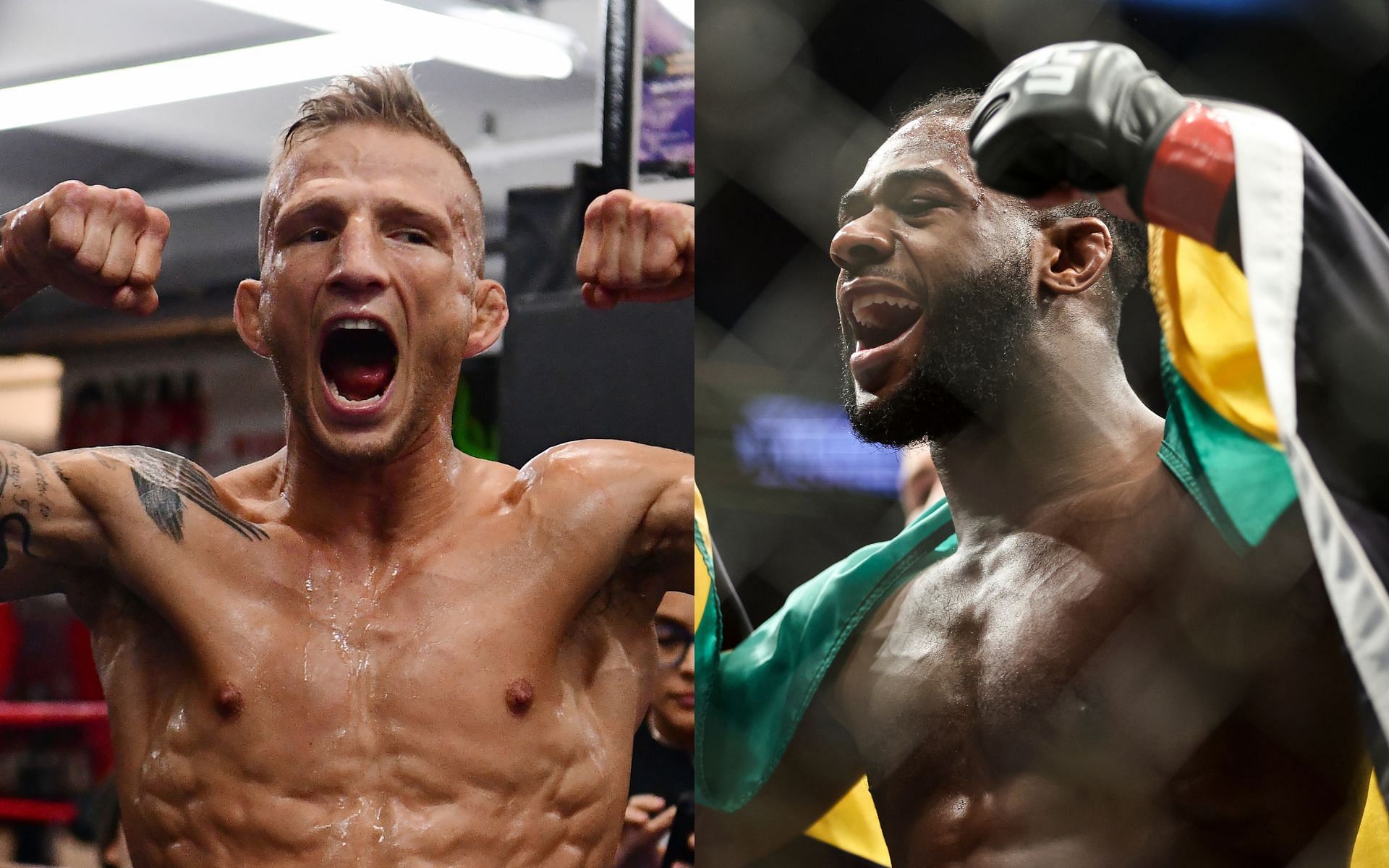 T.J. Dillashaw (Left), Aljamain Sterling (Right)