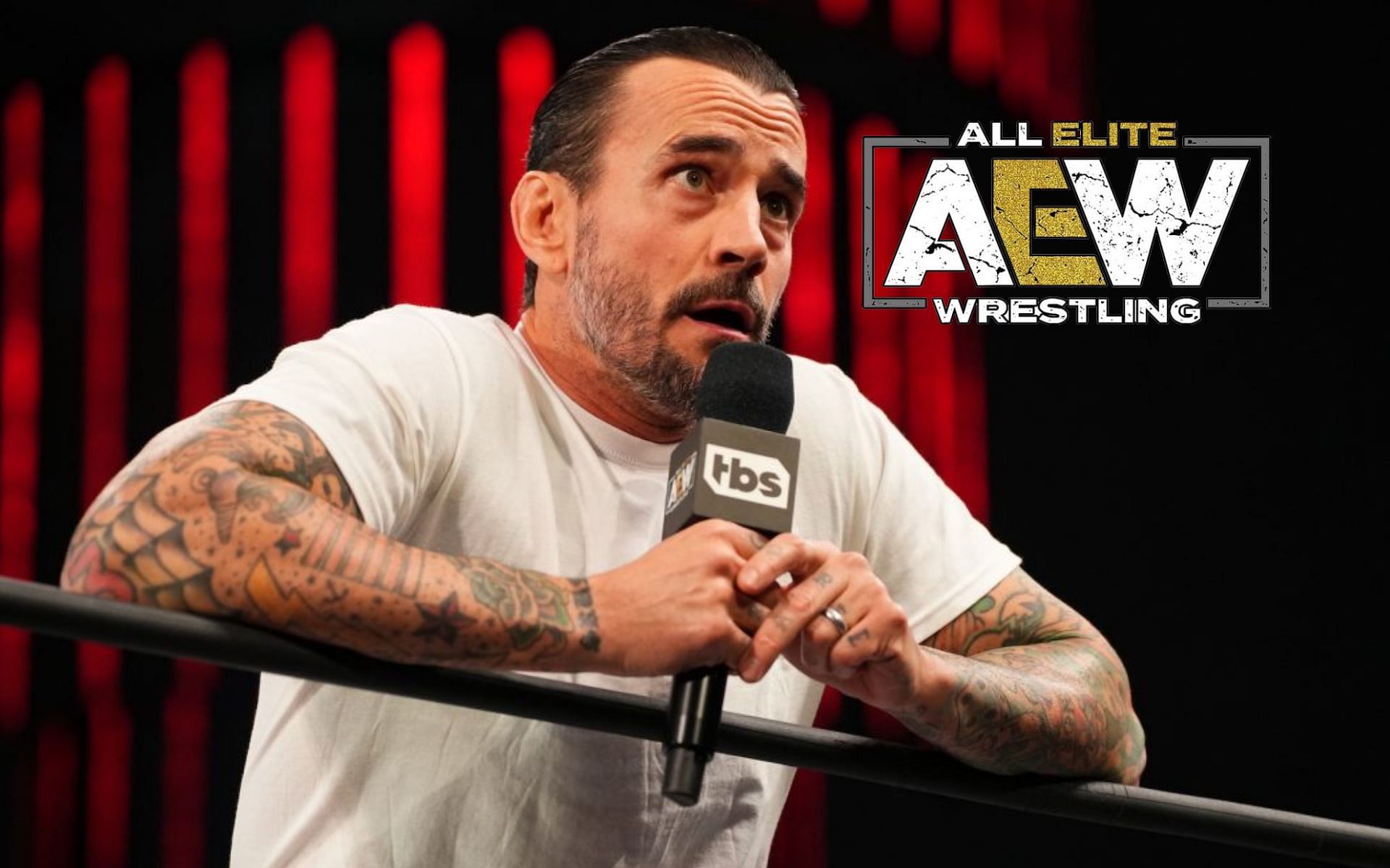 Popular AEW Star Takes A Cheeky Dig At CM Punk About A Specific Maneuver