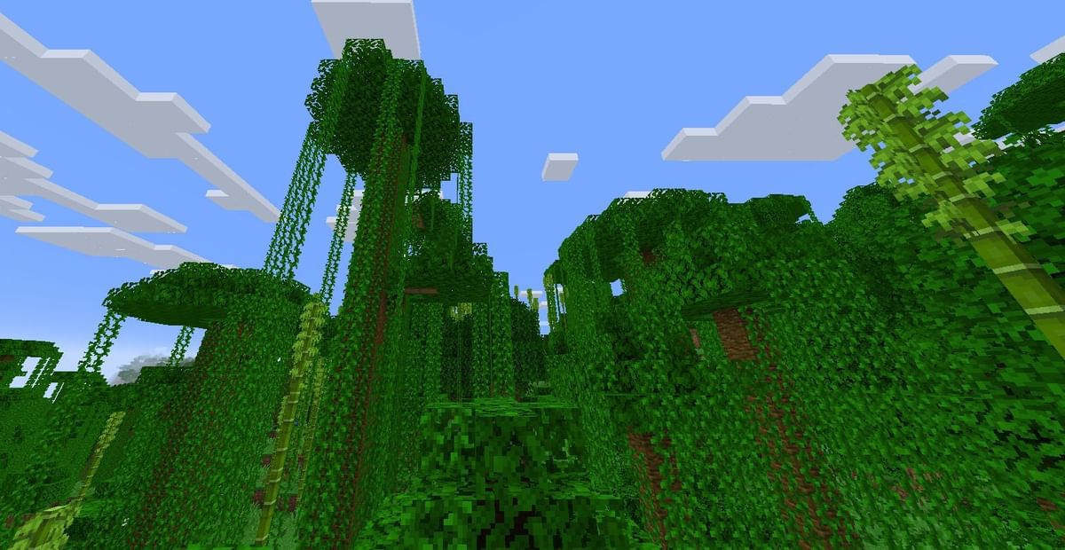 Jungle in Minecraft