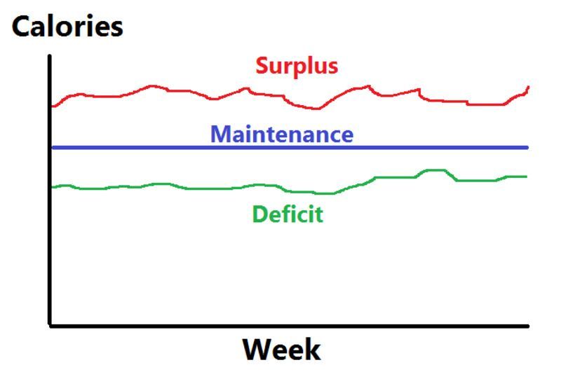 Calorie surplus and deficit (Image via 9to5strength.com)