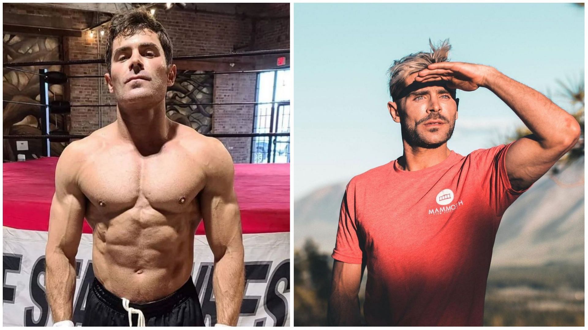 Zac Efron's Perfect Bulk: How You Can Achieve Star's Crazy Body