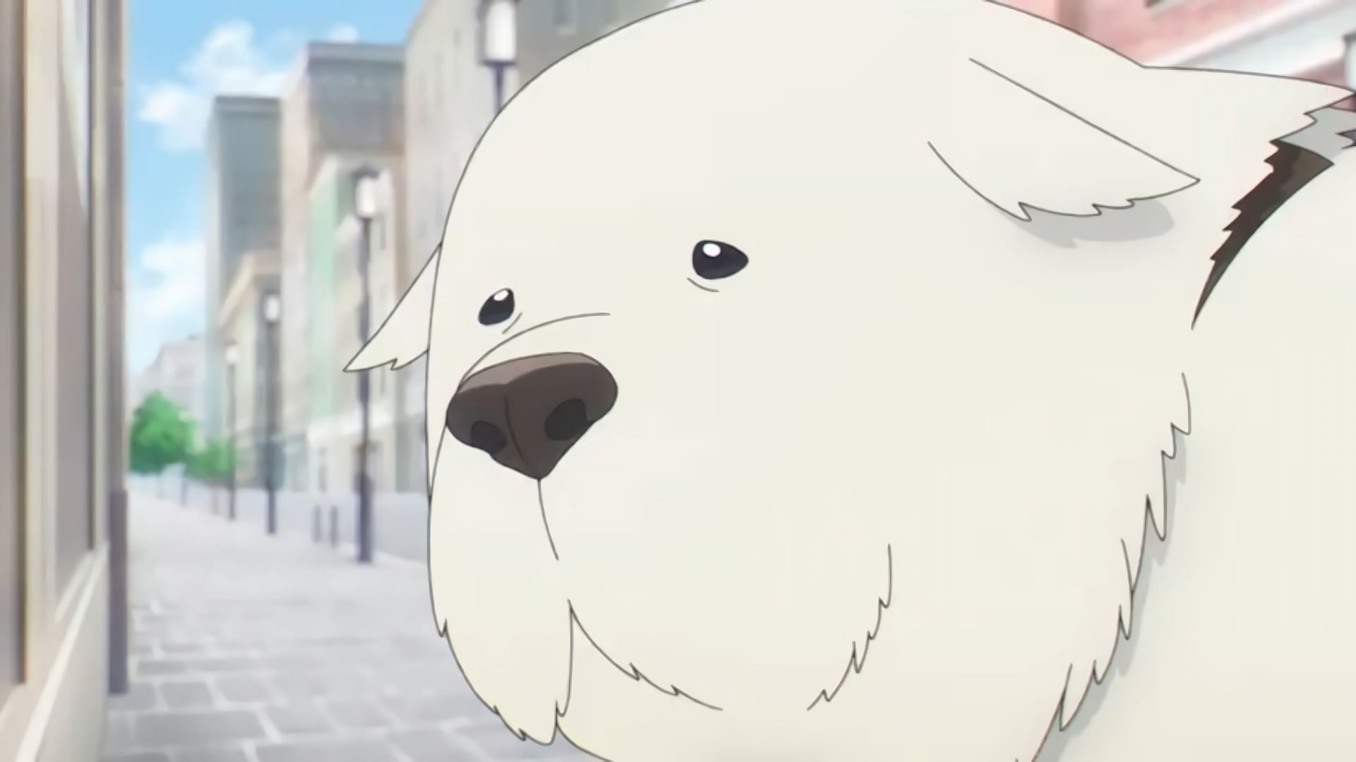 The nameless white dog as seen in Spy X Family episode 13 (Image via Wit Studio)