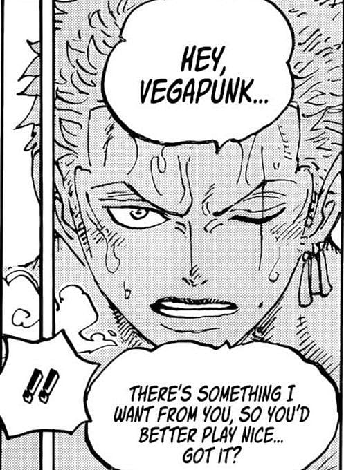 One Piece: What Does Zoro Want From Vegapunk?