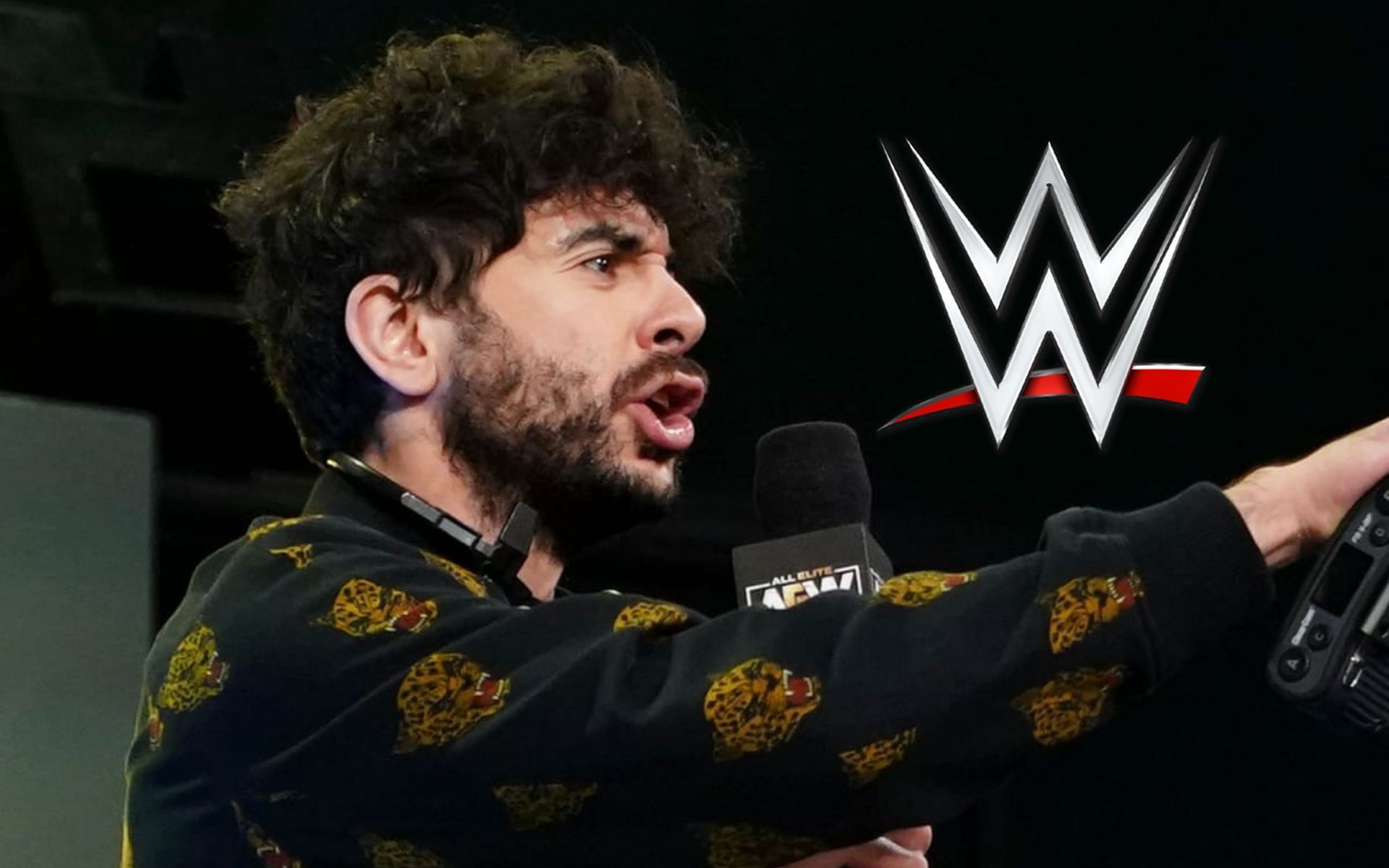 A former WWE Superstar was released by AEW President Tony Khan just recently.