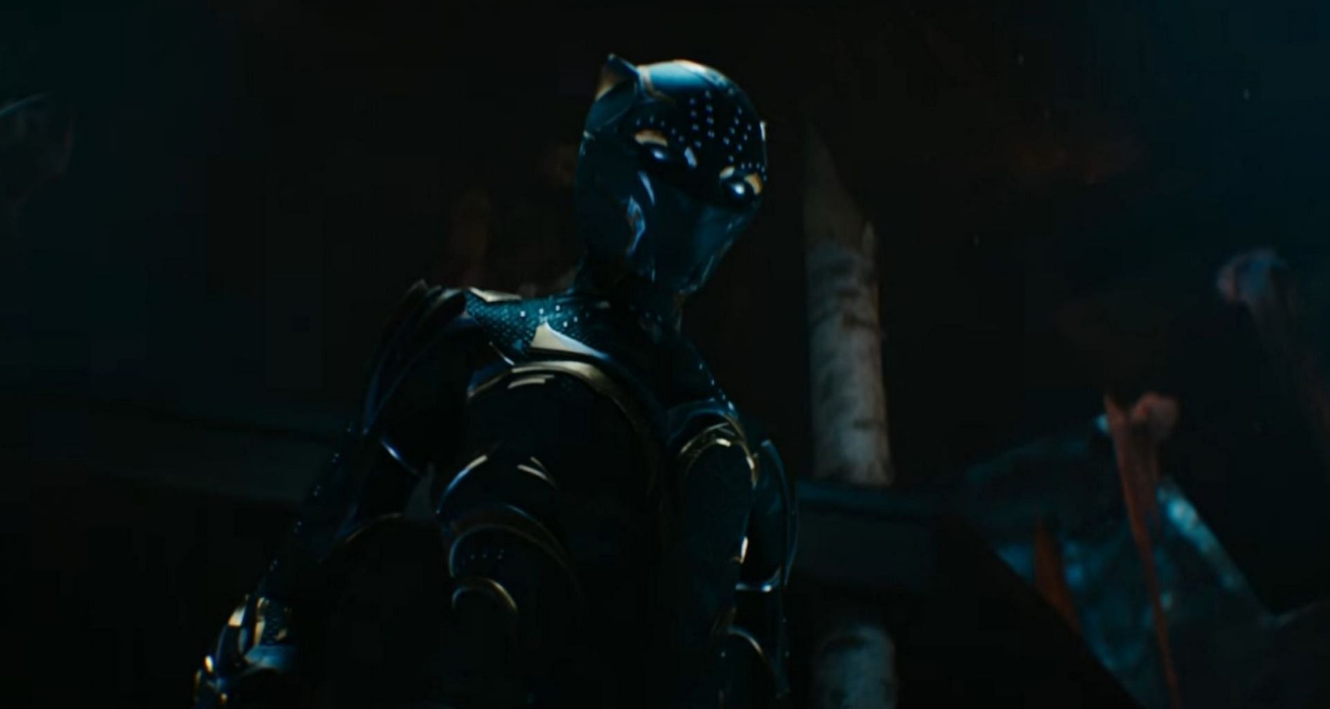 The new Black Panther (Image via Marvel Studios)