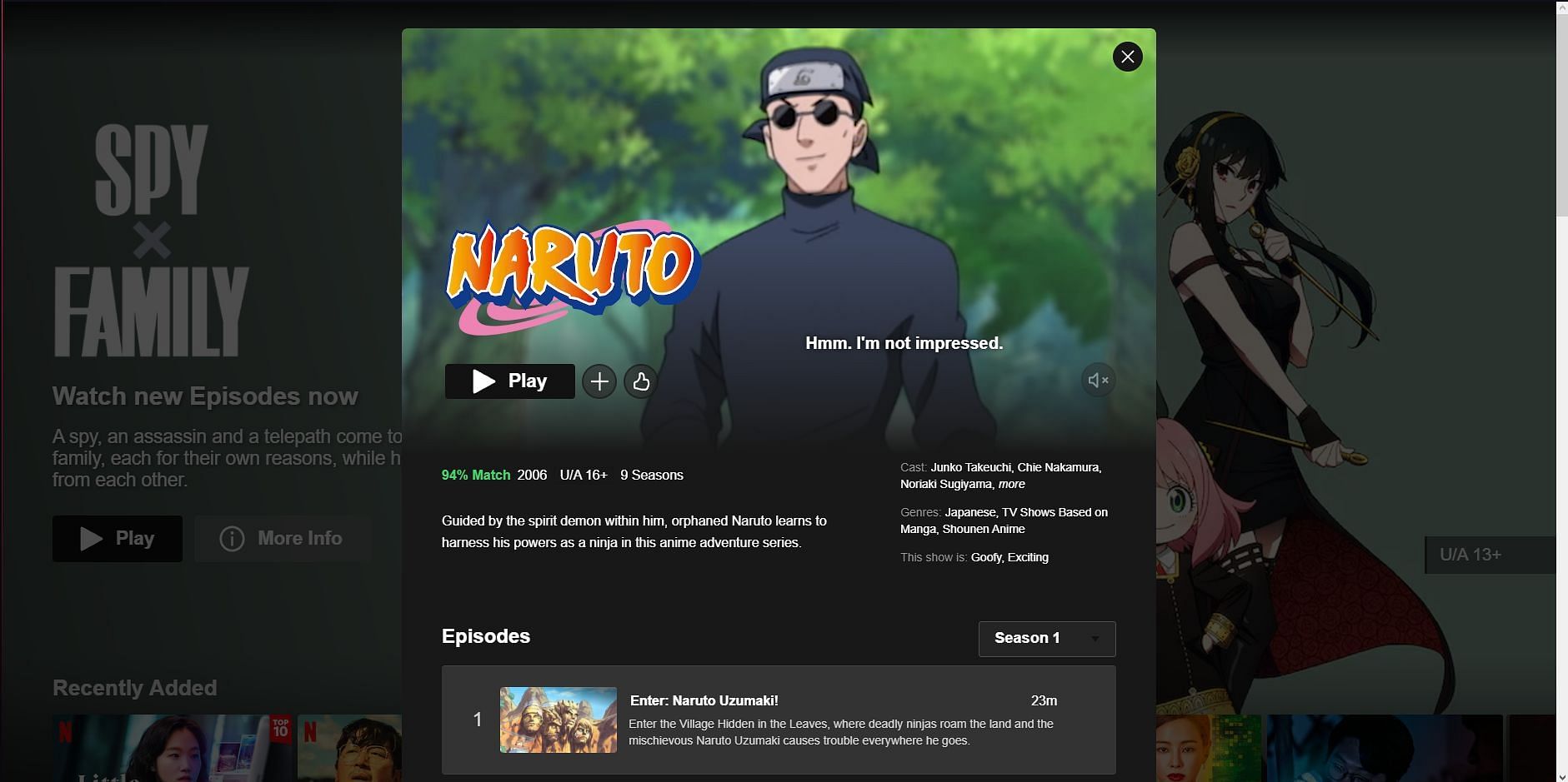 NARUTO  Netflix