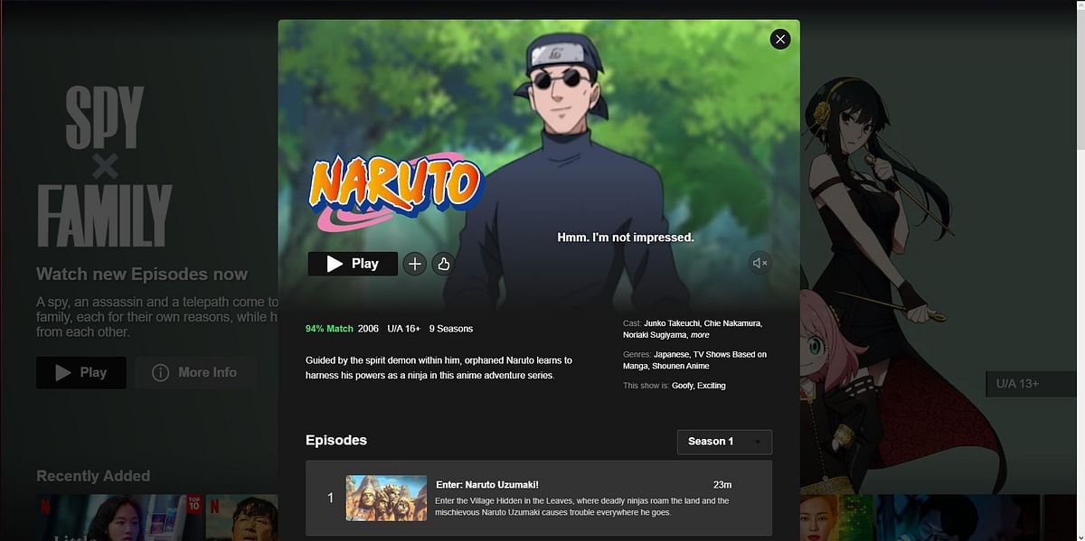 Is Naruto leaving Netflix? Explained - What Comes After Naruto Season 9 On Netflix
