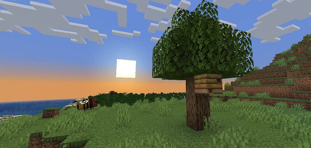 Meadow in Minecraft