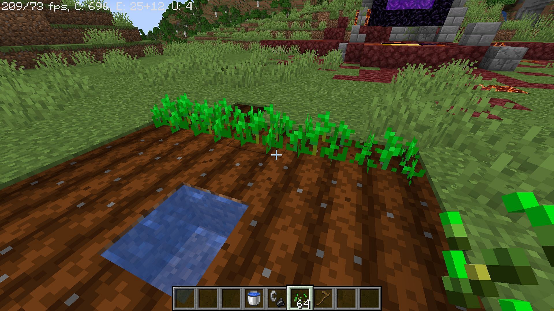 When used as a hoe, dirt blocks convert to farmlands which can be used to sow seeds and grow crops in Minecraft (Image via Mojang)