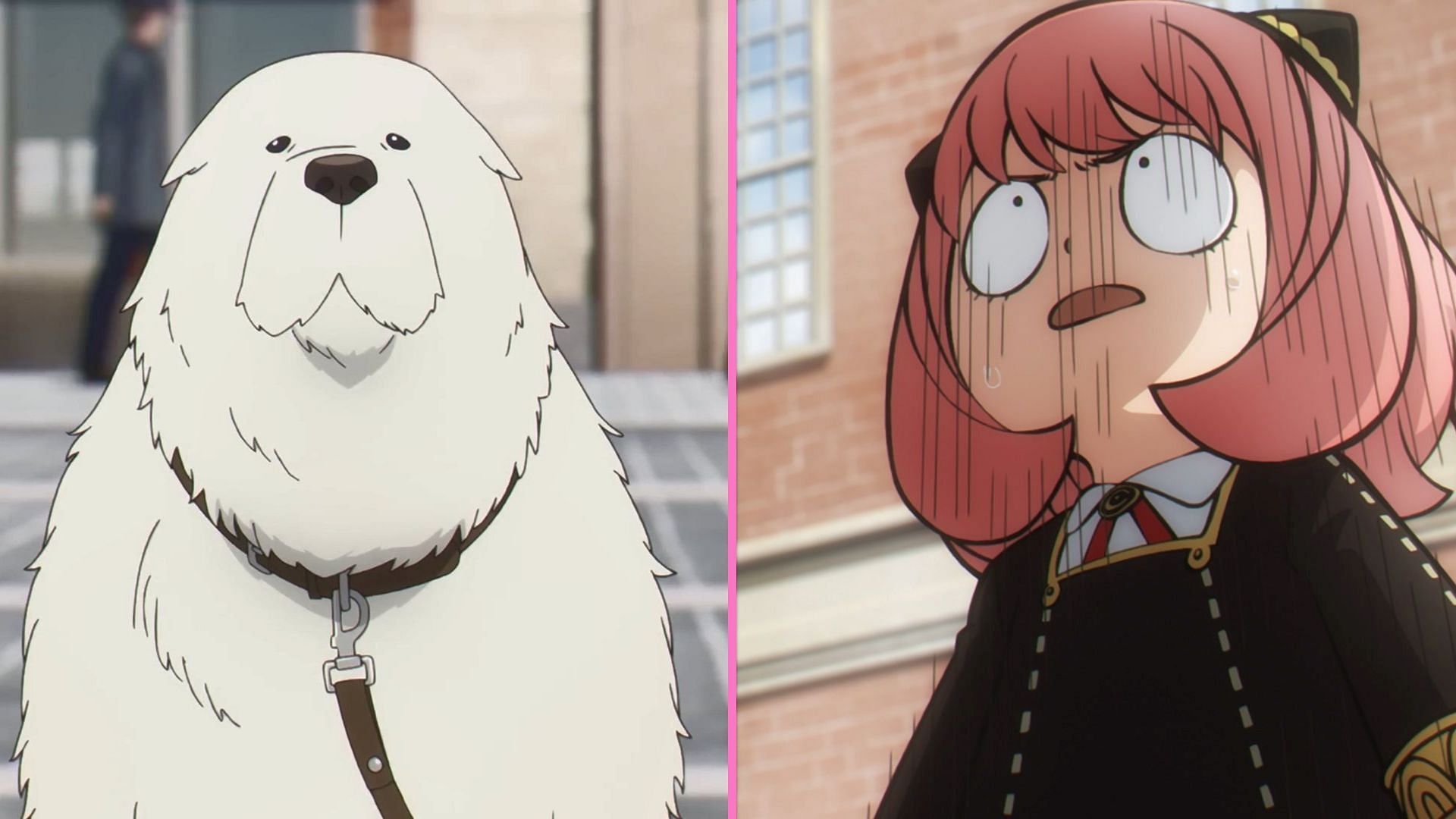 Doggy Crisis Arc, Spy x Family Wiki