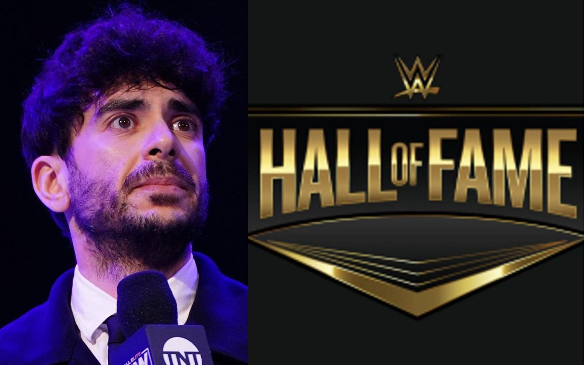 AEW President Tony Khan (left) and WWE Hall of Fame logo (right).