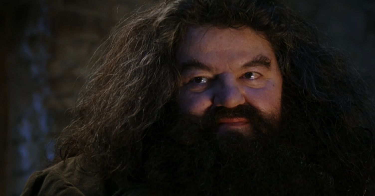 Coltrane brought Hagrid to life (Image via Amazon Prime Video)