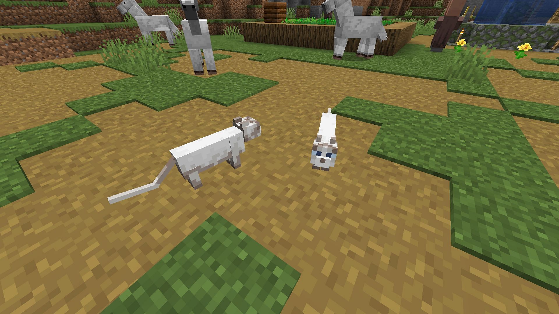 Cats are one of the cutest friendly mobs in Minecraft (Image via Mojang)