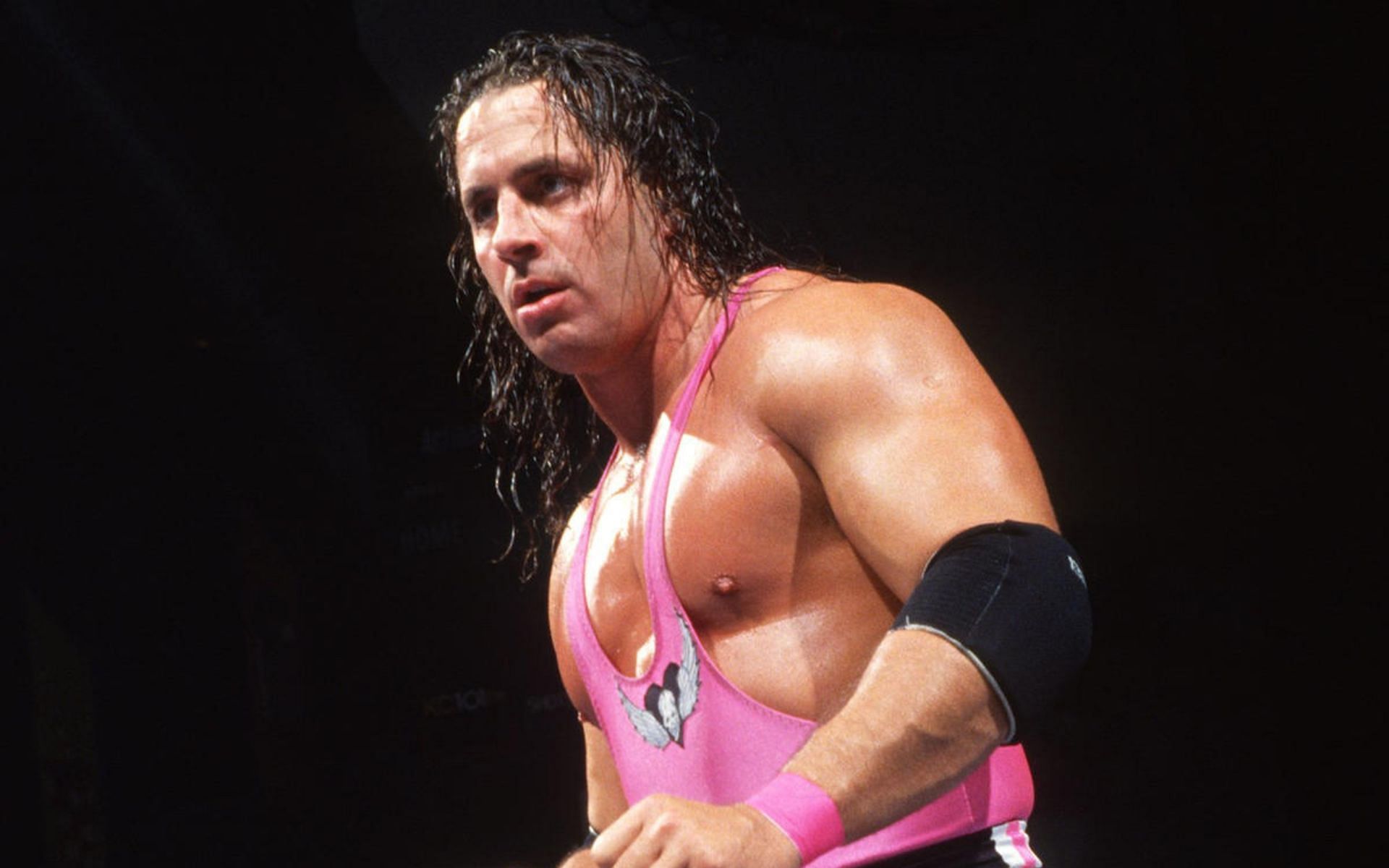 Bret Hart is a former WWE Champion!