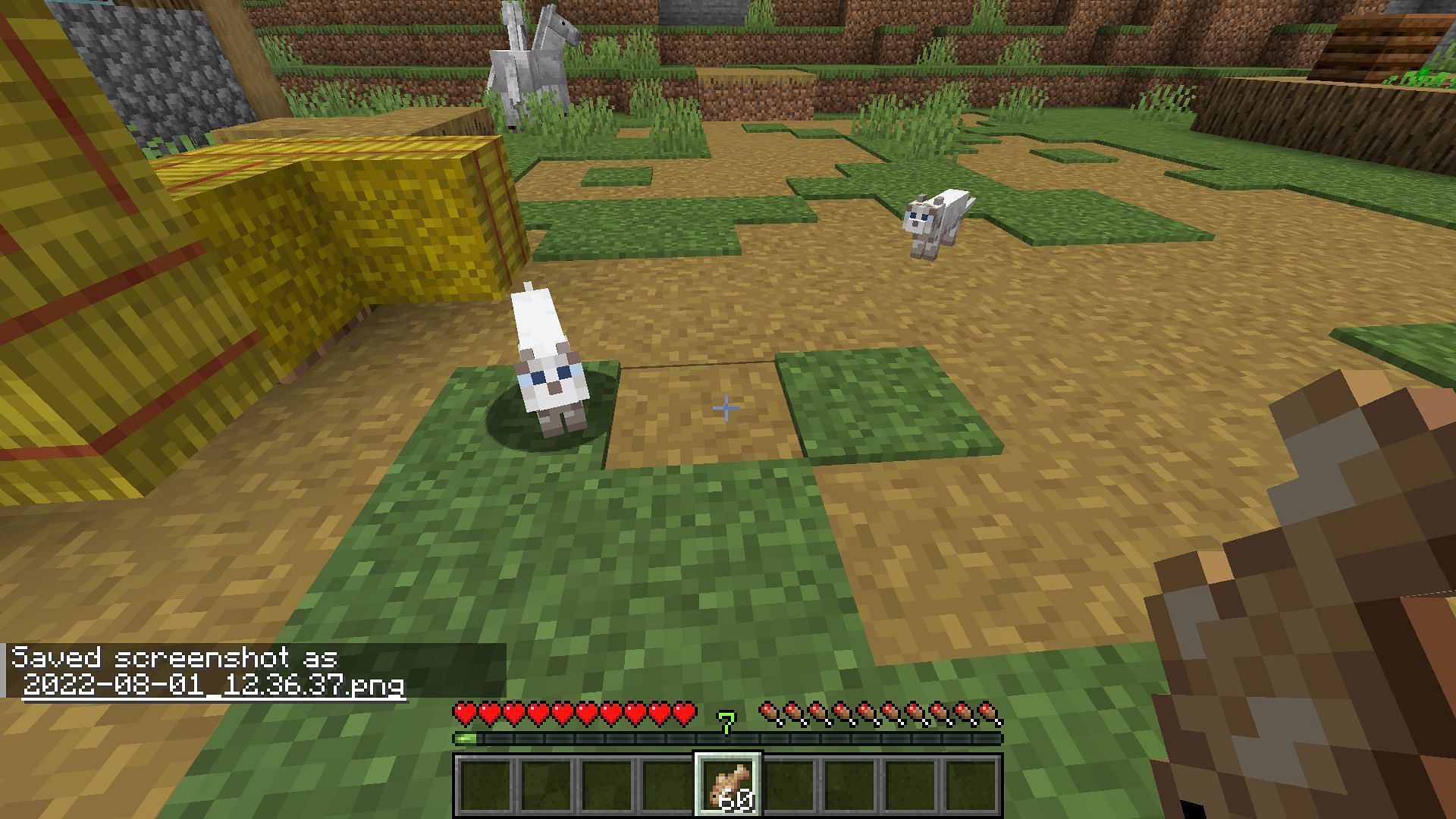 A path can be created from dirt blocks in Minecraft when a shovel is used on them in a certain way (Image via Mojang)