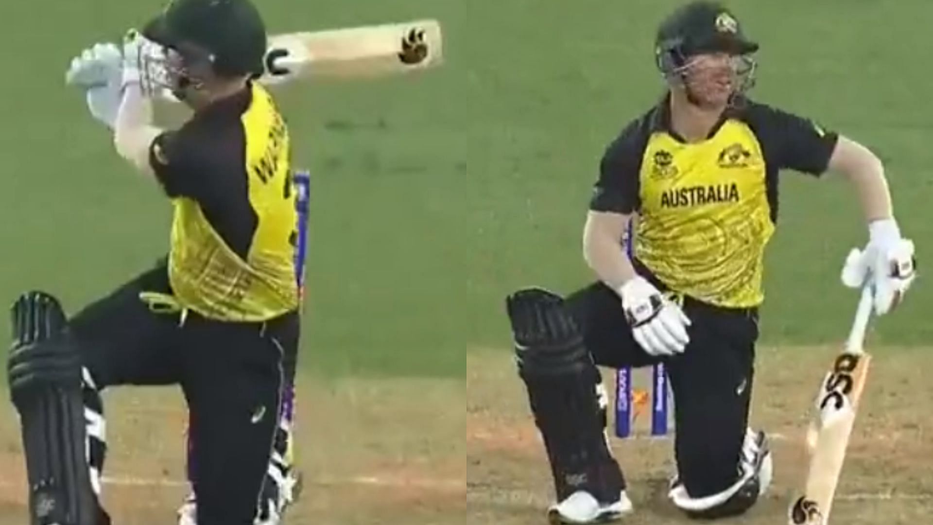 T20 World Cup 2022: [Watch] Freakish dismissal sends David Warner packing early during run-chase against New Zealand