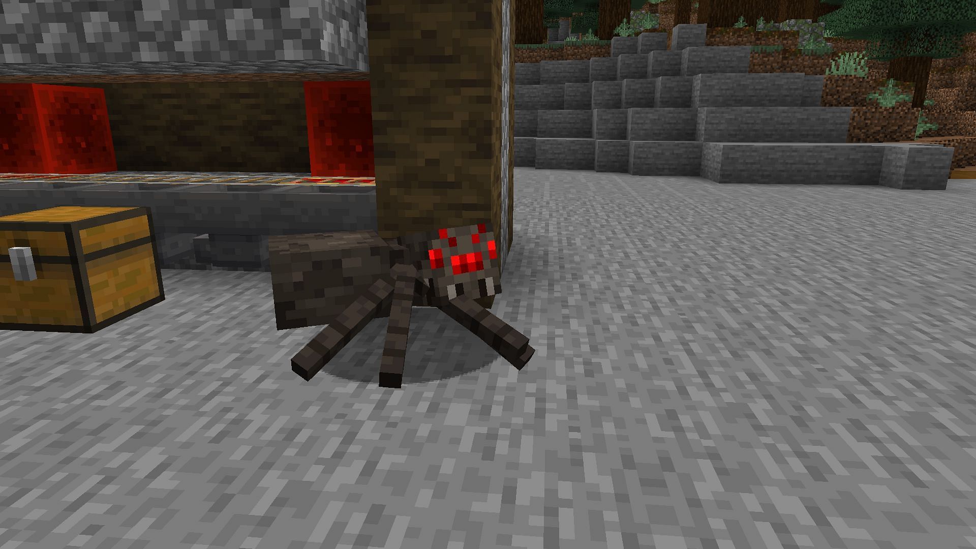 Spiders will not attack players during the day until and unless they are harmed by the Minecraft players (Image via Mojang)