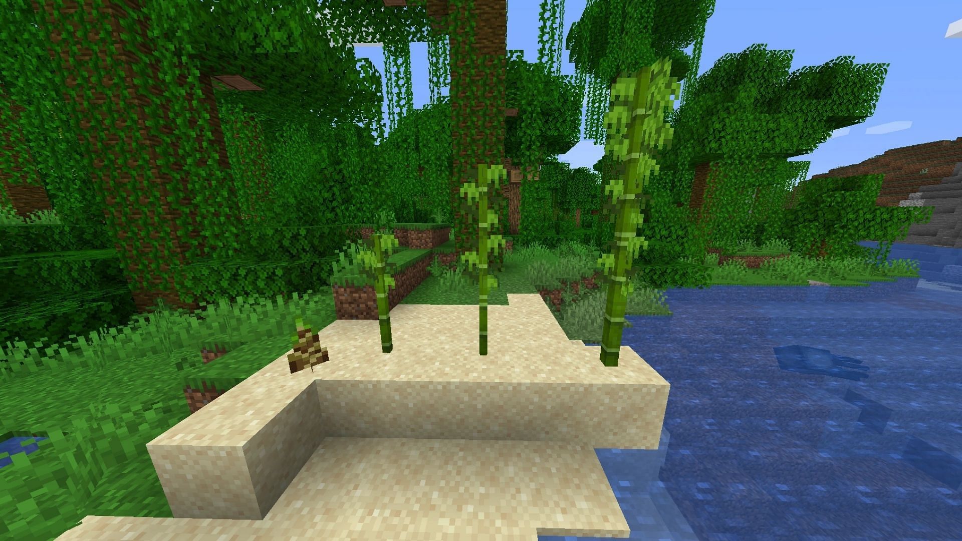 Different stages of bamboo growth in Minecraft 1.20 (Image via Mojang)
