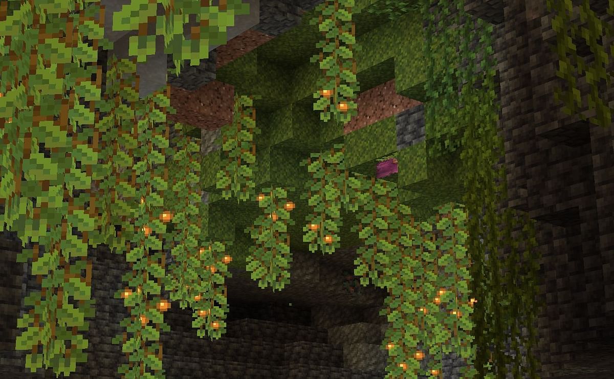 Lush Caves in Minecraft