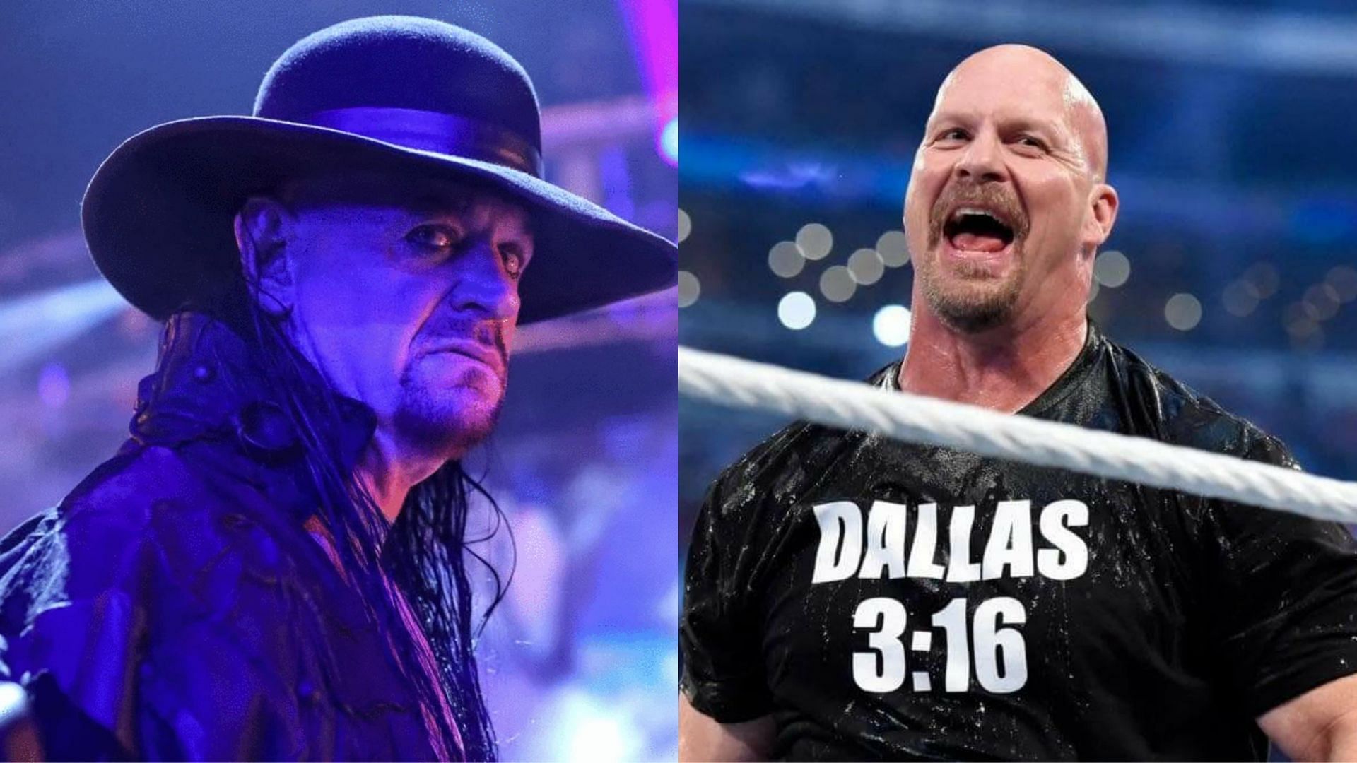 The Undertaker and Steve Austin are both icons of WWE