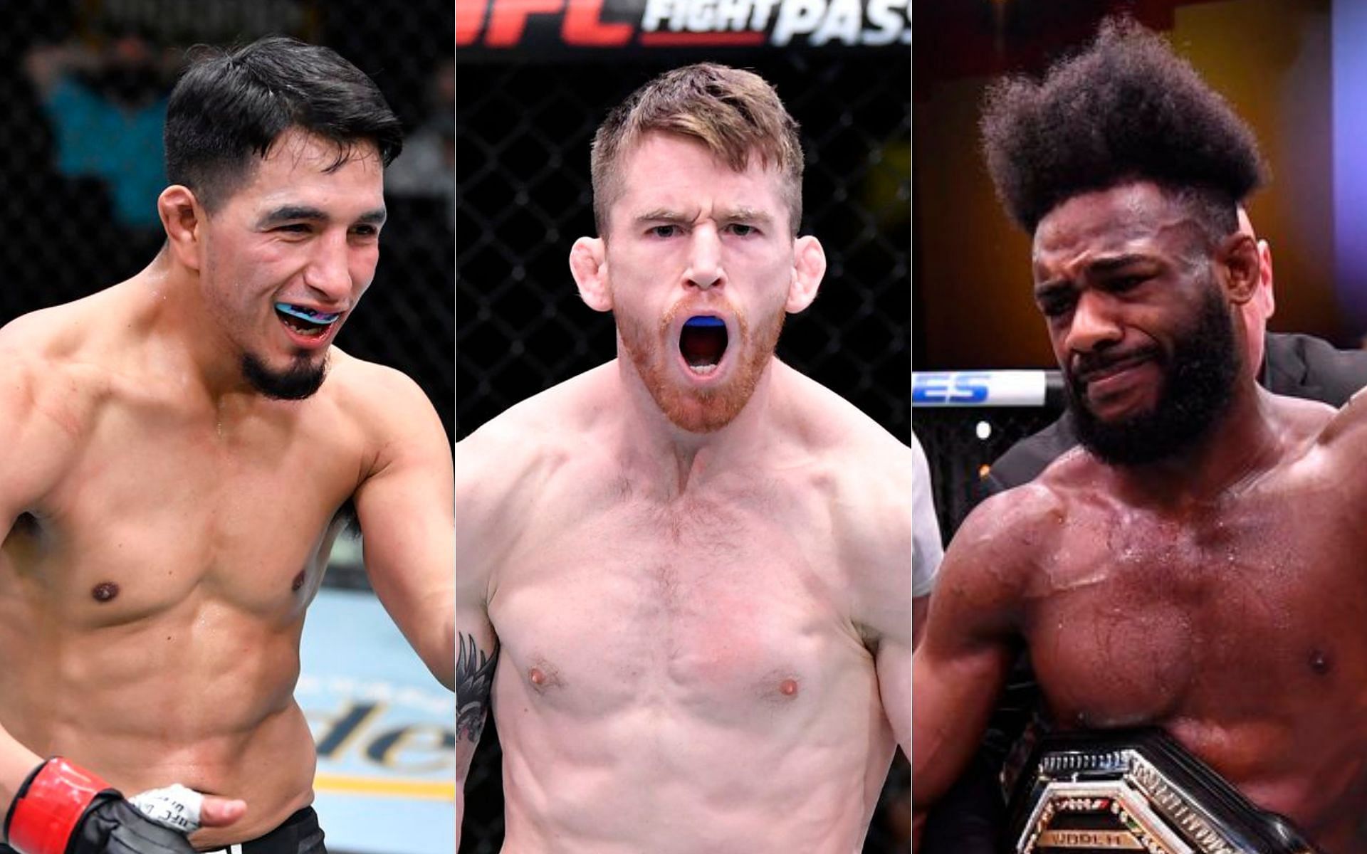 Adrian Yanez (left), Cory Sandhagen (centre), Aljamain Sterling (right)