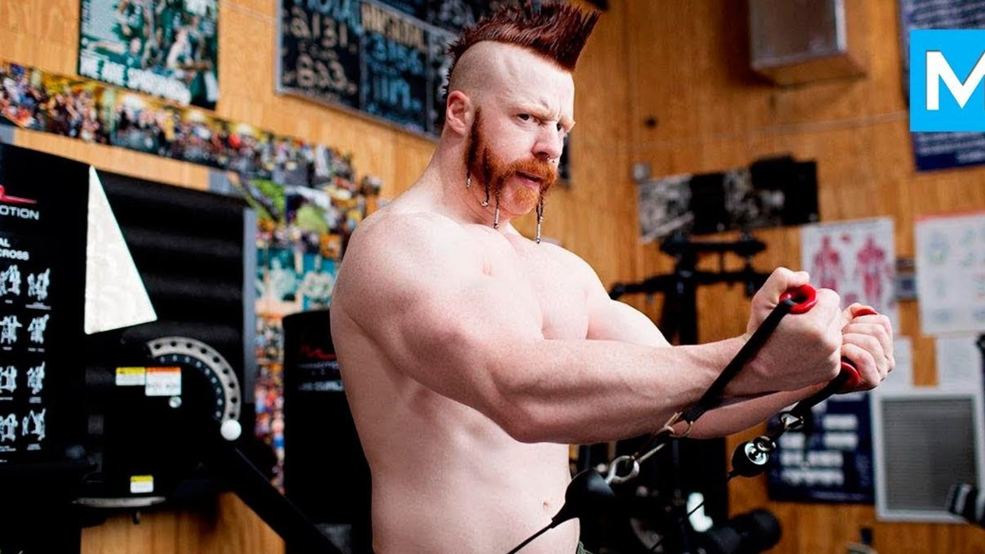 WWE Superstar Sheamus exercising on Celtic Warrior Workouts 