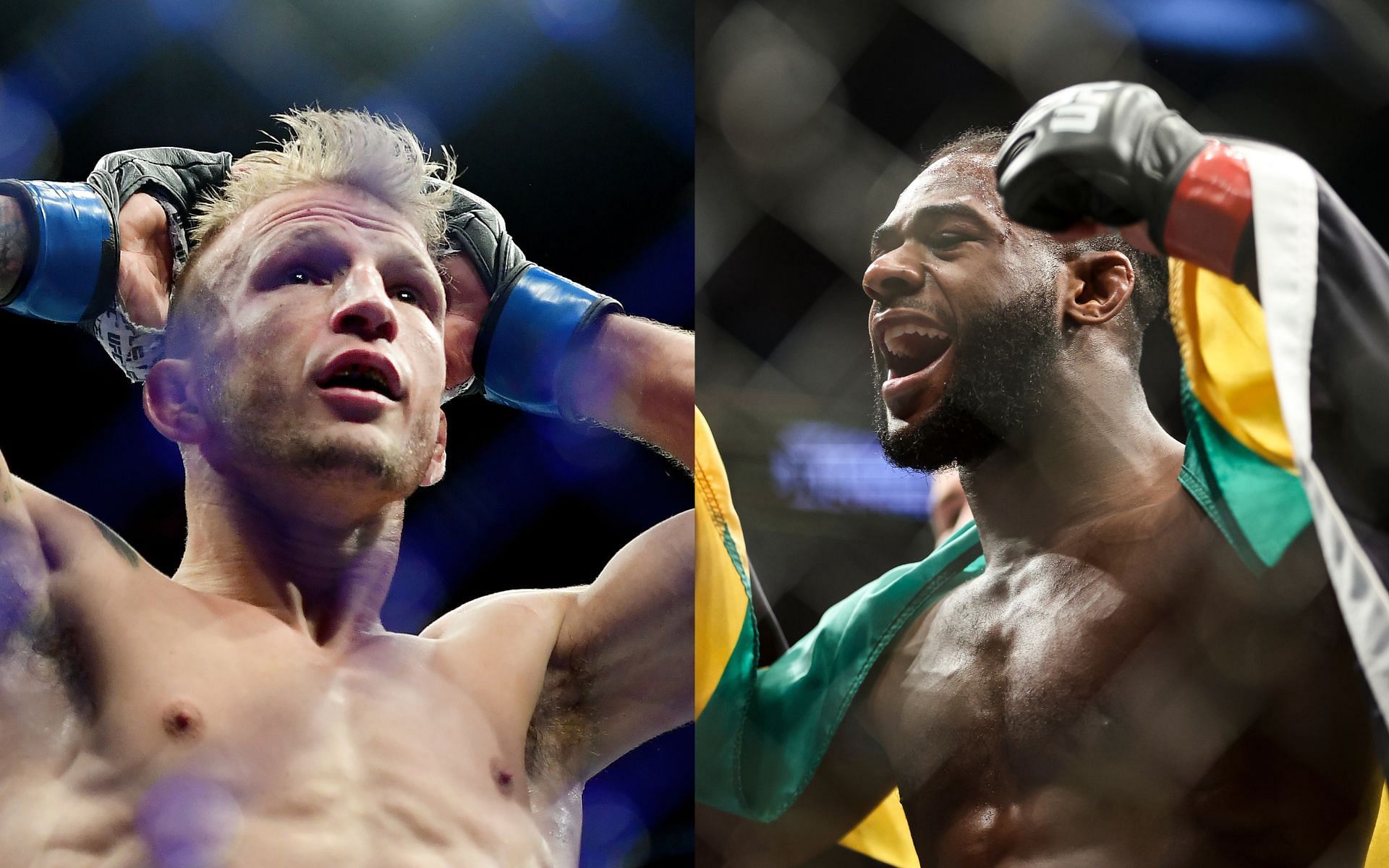 T.J. Dillashaw (left), Aljamain Sterling (right)