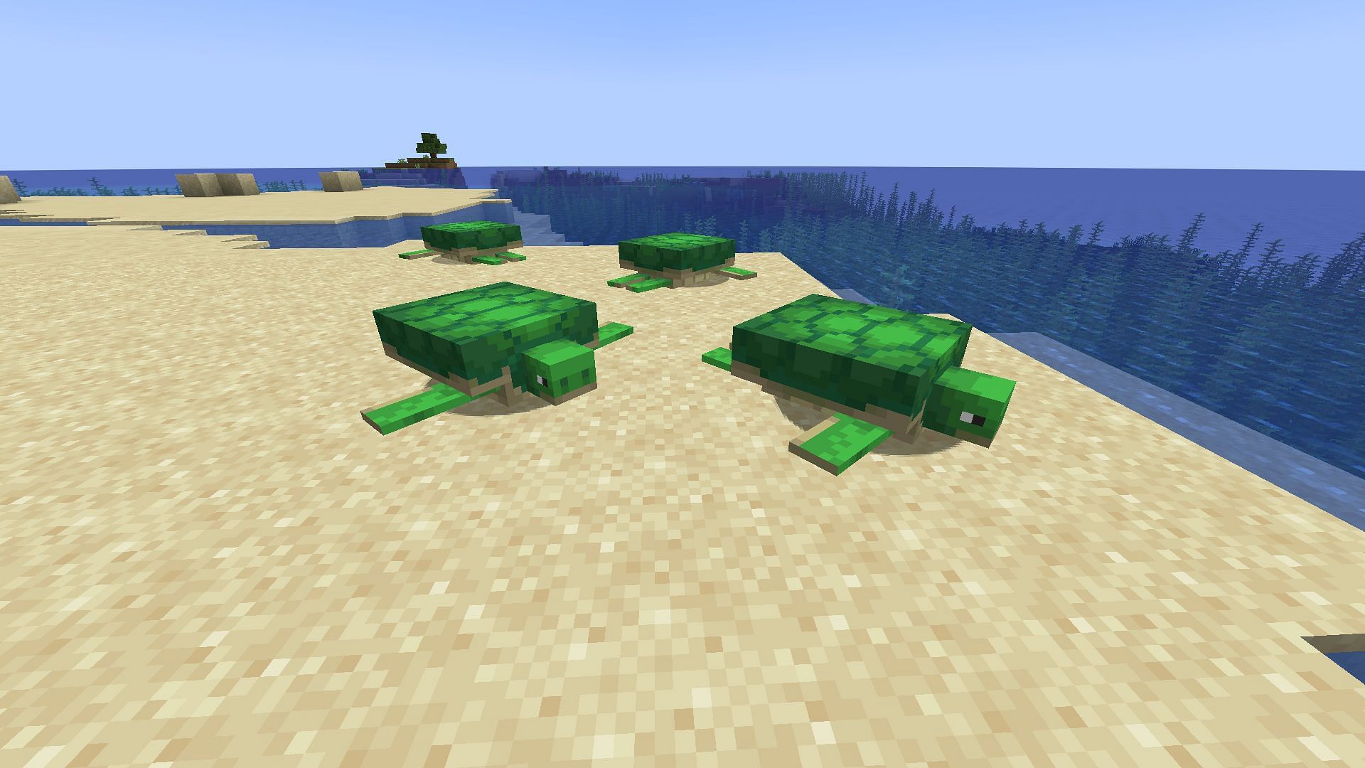 Turtles are most commonly found in beach biomes (Image via Mojang)