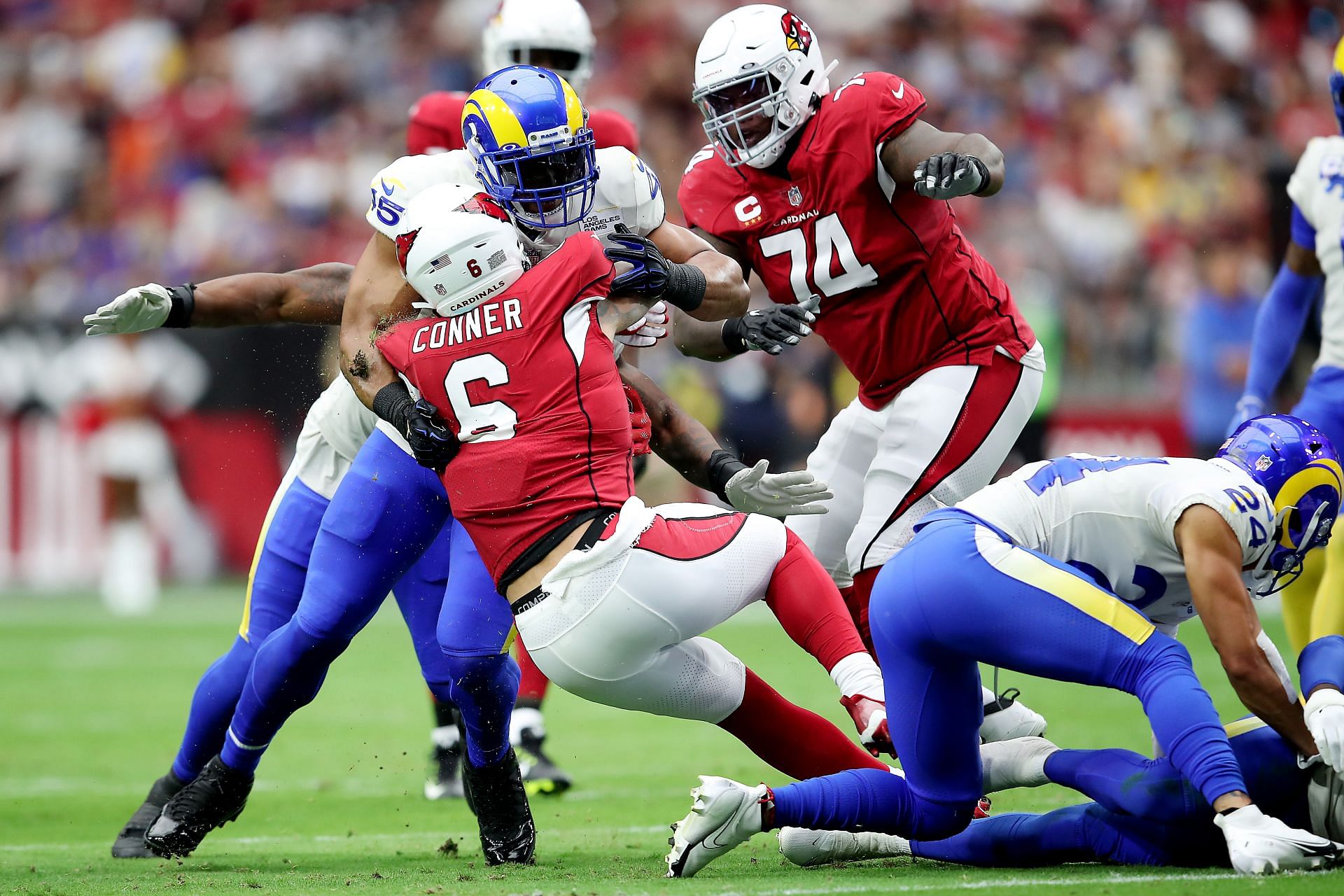 Watch LA Rams' Bobby Wagner Tackle Animal Rights Protester on