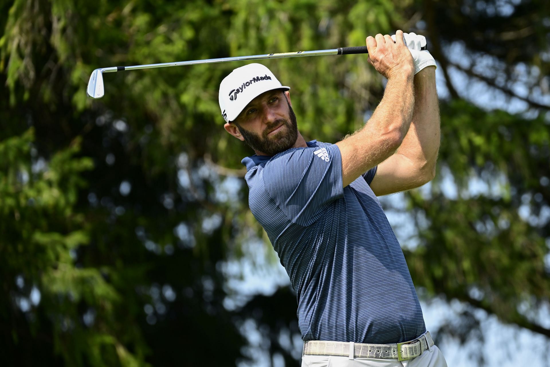 How much are Dustin Johnson's career earnings?