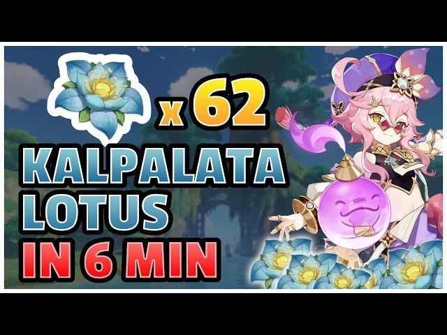 Kalpalata lotus genshin