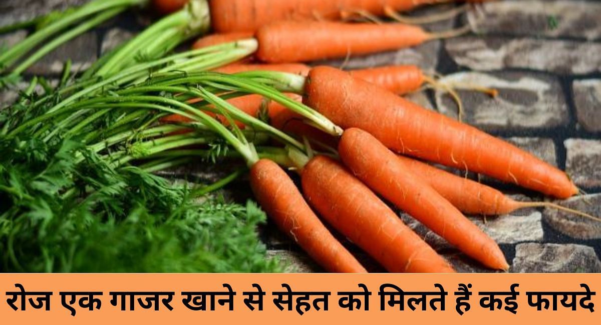 रोज एक गाजर खाने से सेहत को मिलते हैं कई फायदे(फोटो-Sportskeeda hindi)