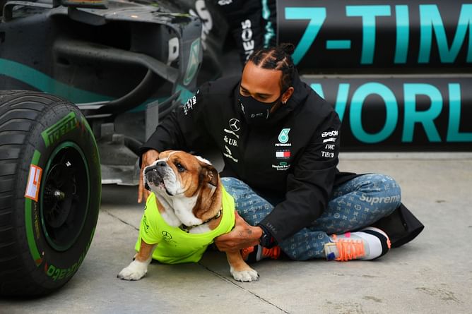 "The real star of the paddock"- Fans wish Lewis Hamilton's pet Roscoe 'happy birthday' as he turns 10