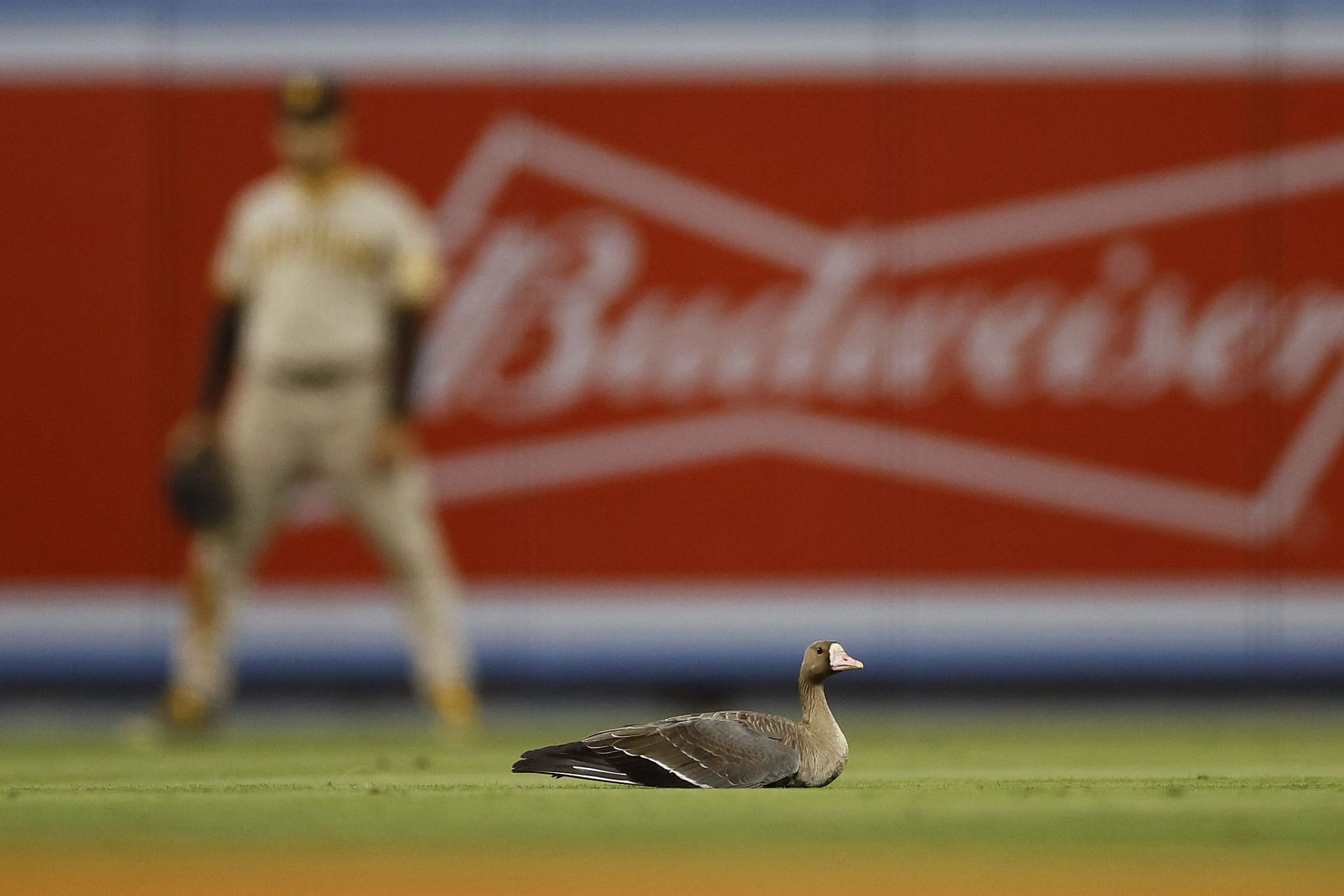 Division Series - San Diego Padres v Los Angeles Dodgers - Game Two