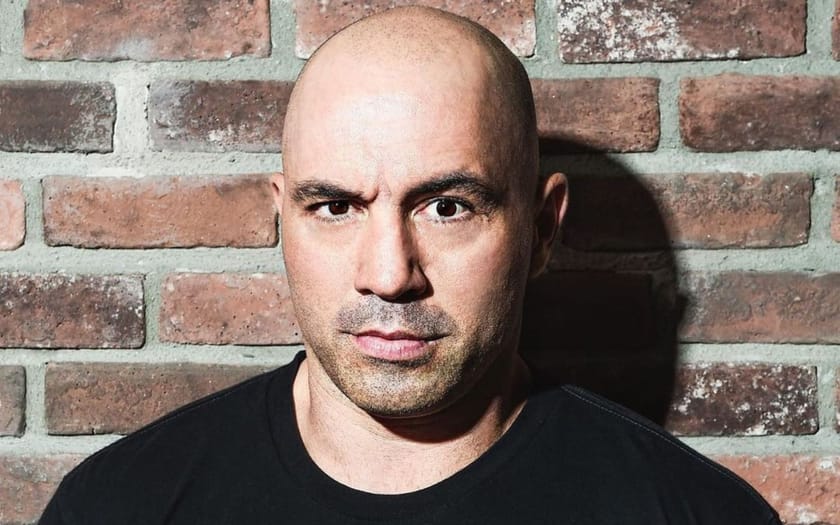 Where did Joe Rogan grow up?