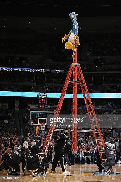 Denver Nuggets' Rocky Revealed as Highest-Paid NBA Mascot