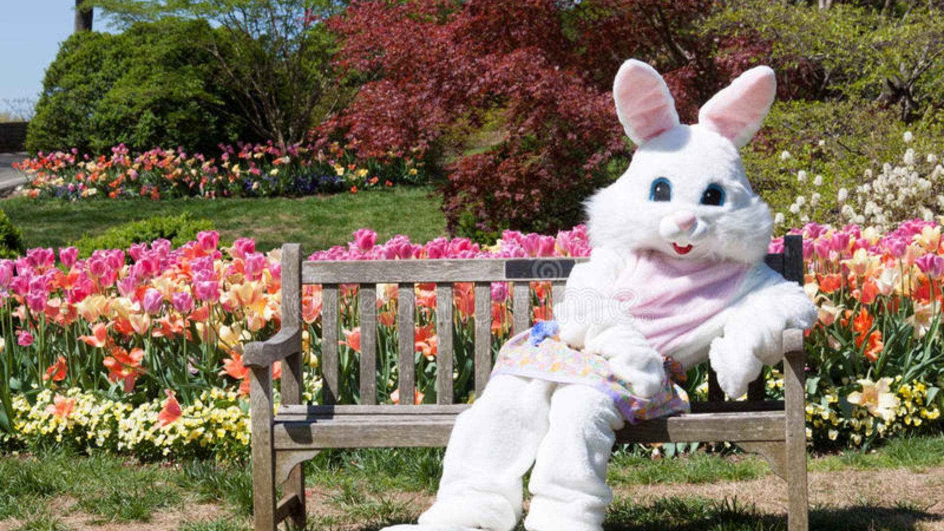 Rabbit costume (Image via Dreamstime.com)