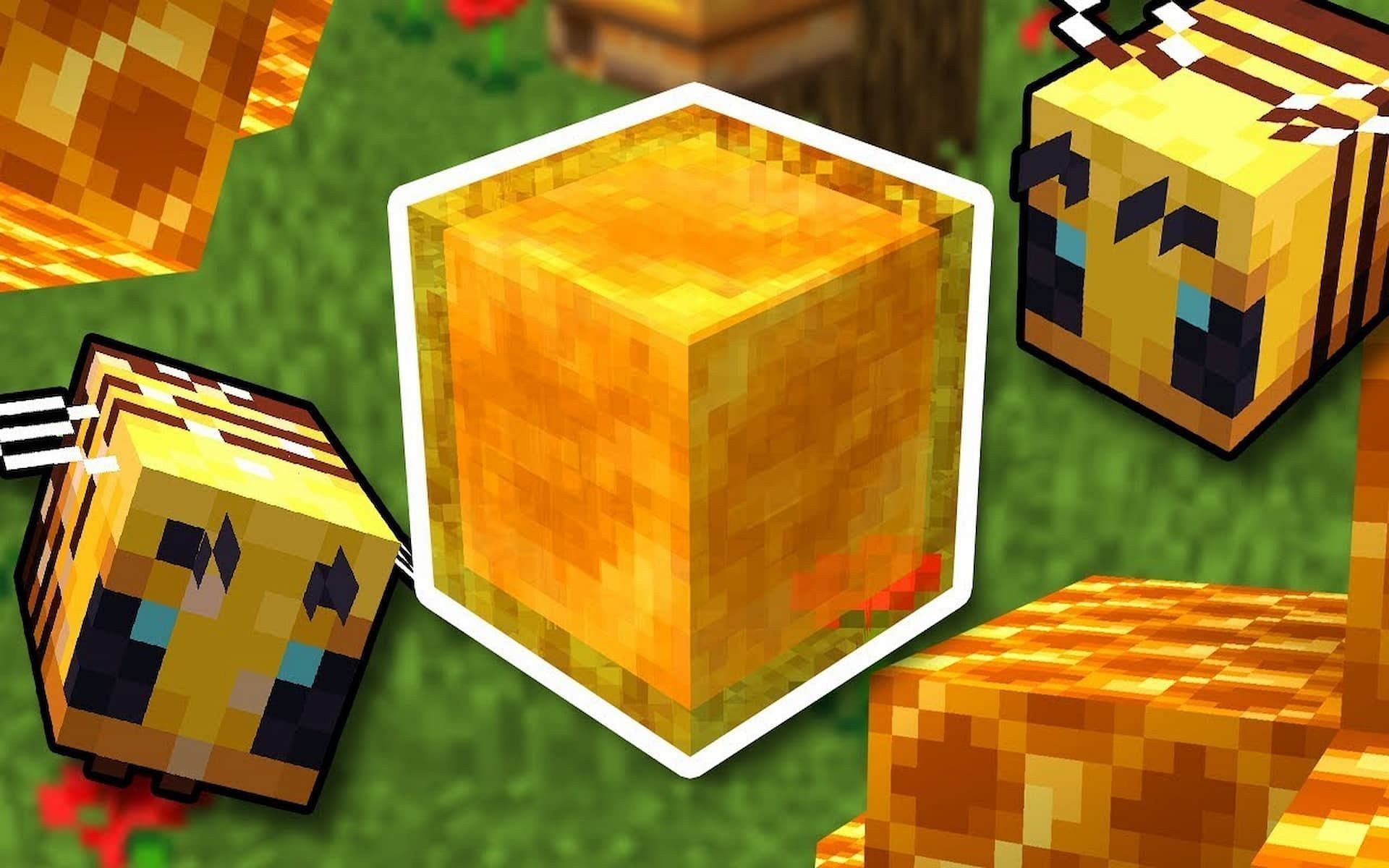 Honey Block - Minecraft Block Guide 