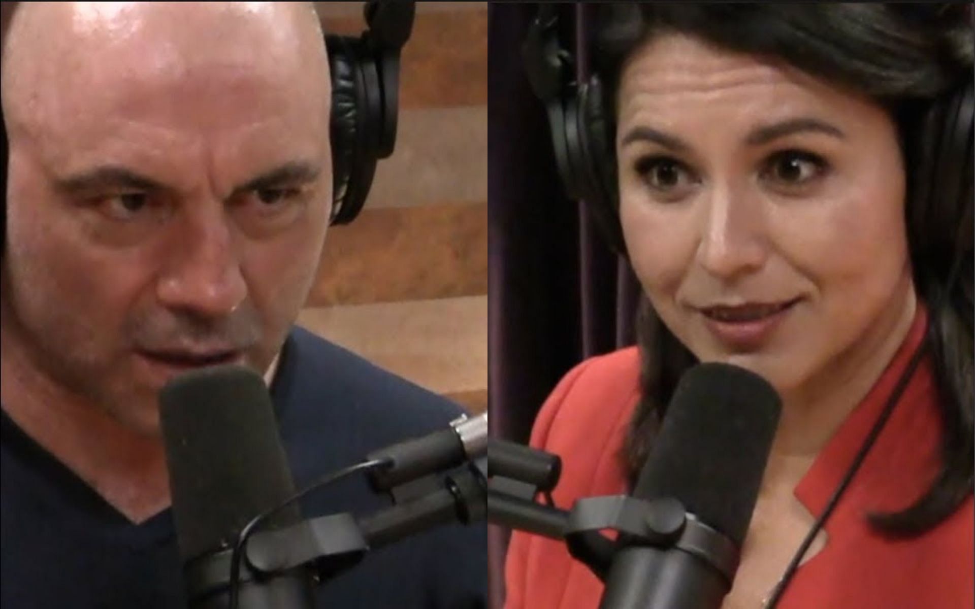 Joe Rogan (left) &amp; Tulsi Gabbard (right) [Photo credit: JRE Clips on YouTube]